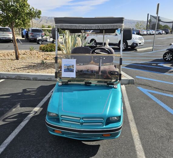 Club Car Club Car DS Electric