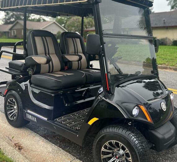 STAR EV STAR EV Classic 36V Lithium Electric